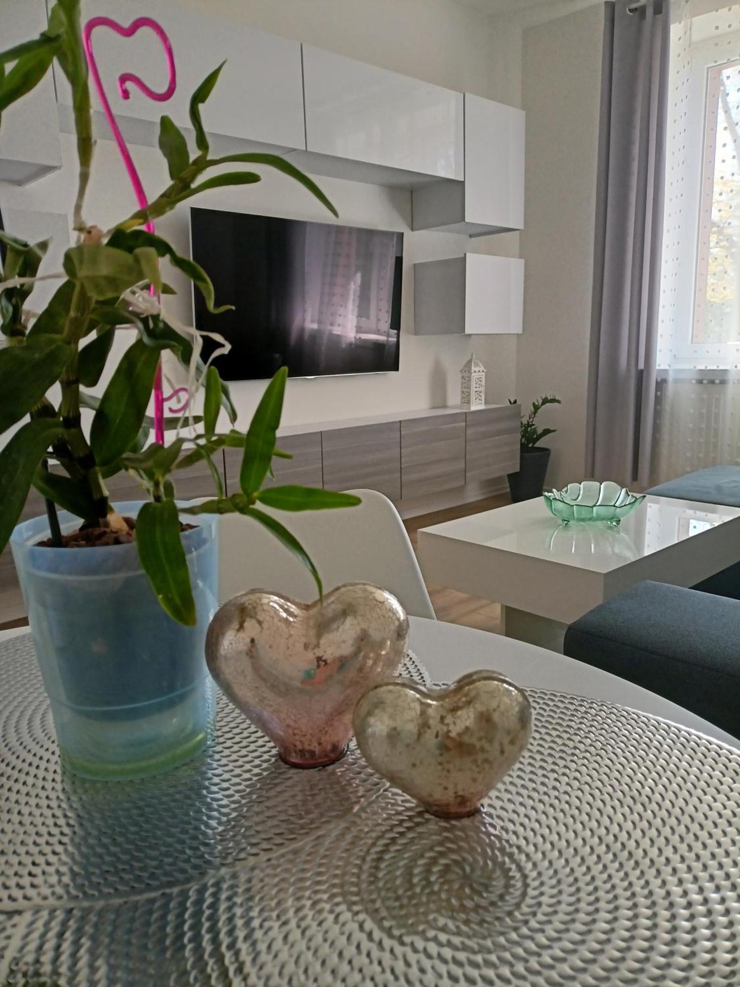 Apartament Slowackiego 41 เยเลเนียกูรา ภายนอก รูปภาพ